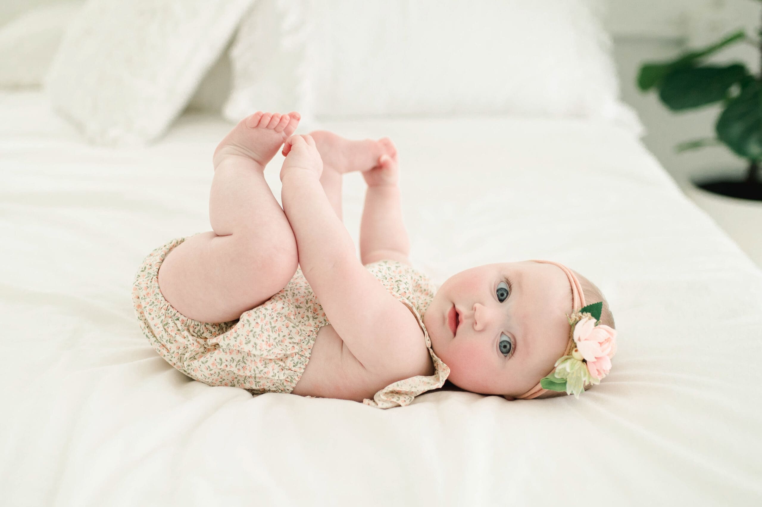 6 Month Studio Session