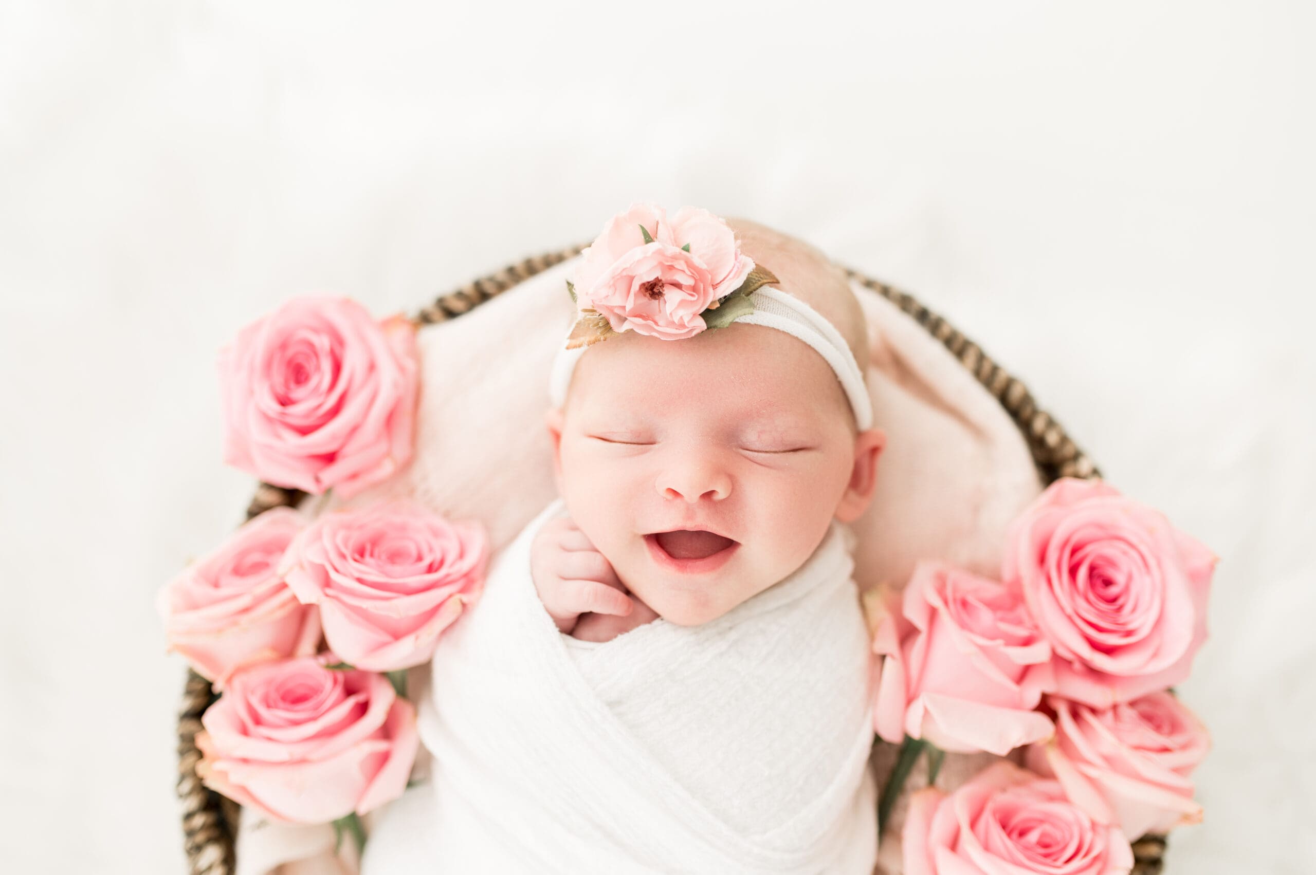 Baby Girl Newborn Session | Tampa Maternity and Newborn Photographer