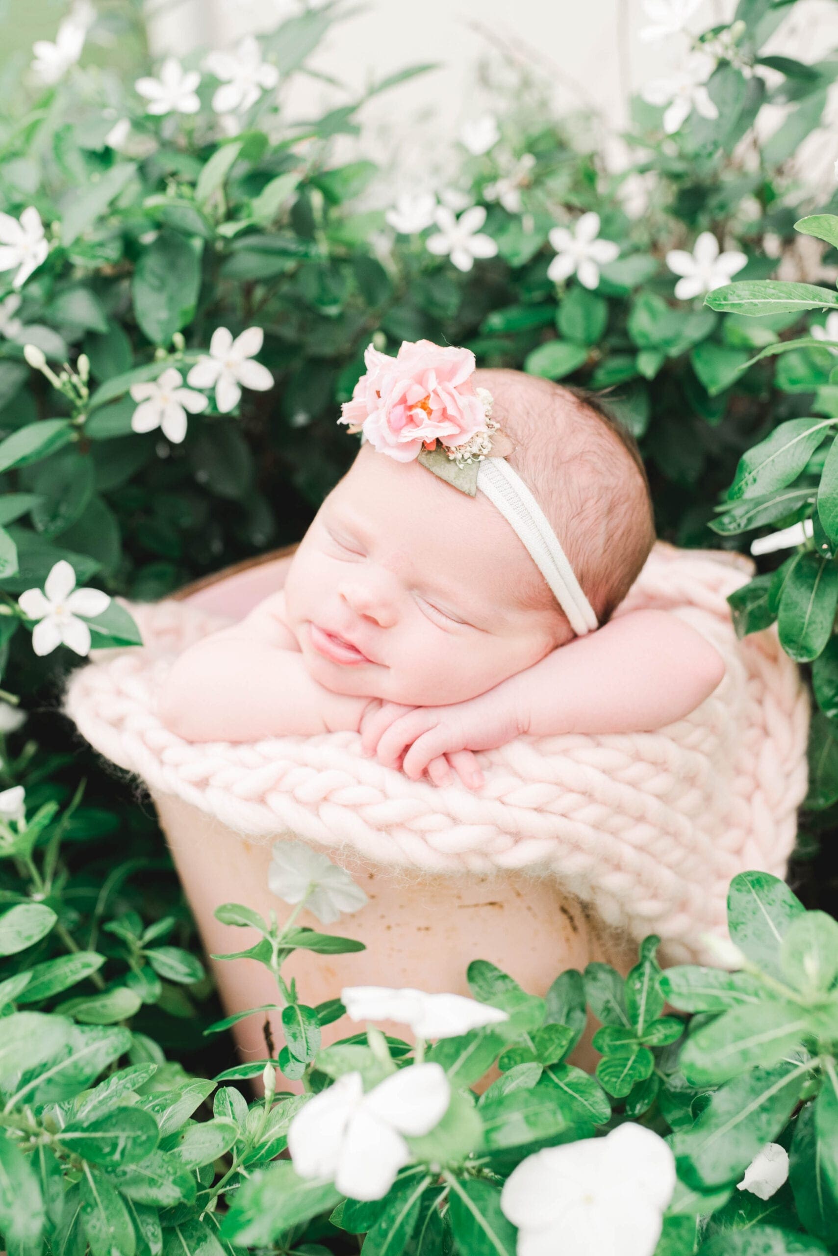 Baby Harlow | Newborn Photography Session