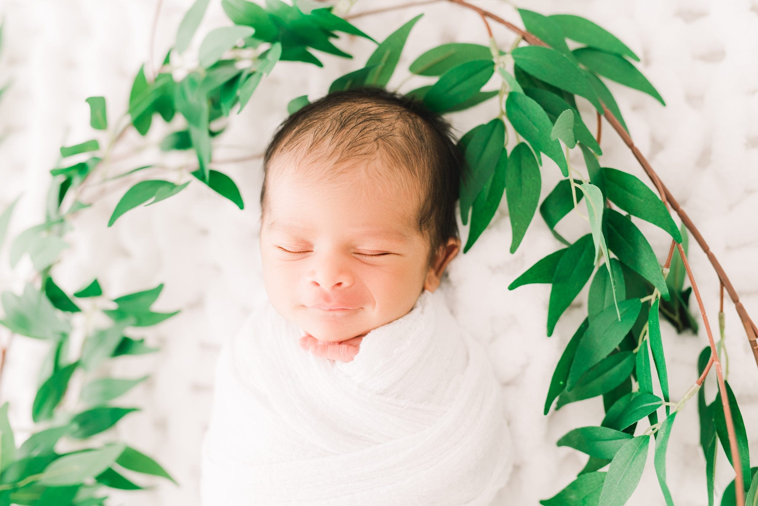 Family Newborn Studio Session |Tampa Bump to Baby Photography