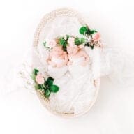 Newborn photography session 6 — Kelly Kristine Photography Tampa